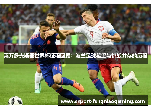 莱万多夫斯基世界杯征程回顾：波兰足球希望与挑战并存的历程