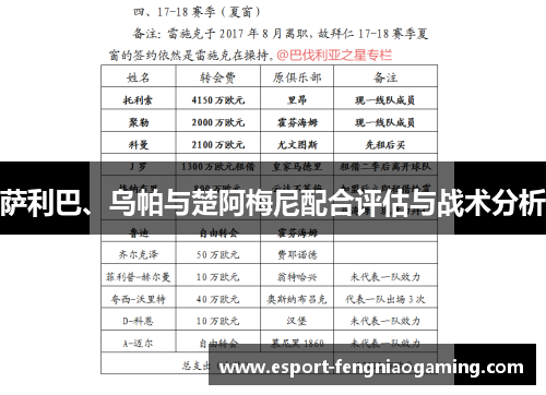 萨利巴、乌帕与楚阿梅尼配合评估与战术分析
