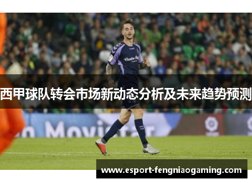 西甲球队转会市场新动态分析及未来趋势预测