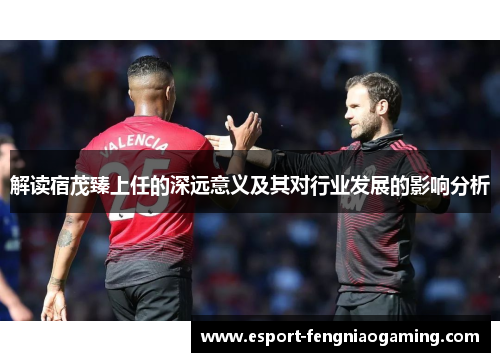 解读宿茂臻上任的深远意义及其对行业发展的影响分析