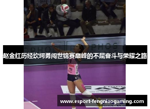 赵金红历经坎坷勇闯世锦赛巅峰的不屈奋斗与荣耀之路