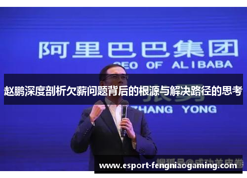 赵鹏深度剖析欠薪问题背后的根源与解决路径的思考 赵鹏深度剖析欠薪问题背后的根源与解决路径的思考