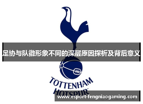 足协与队徽形象不同的深层原因探析及背后意义