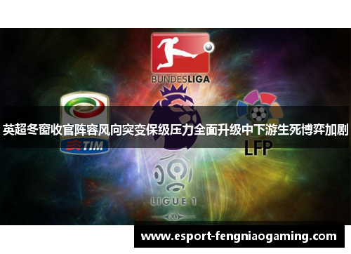 英超冬窗收官阵容风向突变保级压力全面升级中下游生死博弈加剧 英超冬窗收官阵容风向突变保级压力全面升级中下游生死博弈加剧