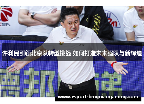 许利民引领北京队转型挑战 如何打造未来强队与新辉煌