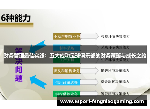 财务管理最佳实践:五大成功足球俱乐部的财务策略与成长之路 财务管理最佳实践:五大成功足球俱乐部的财务策略与成长之路