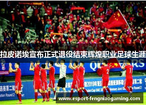 拉皮诺埃宣布正式退役结束辉煌职业足球生涯 拉皮诺埃宣布正式退役结束辉煌职业足球生涯