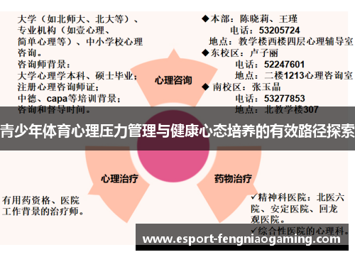 青少年体育心理压力管理与健康心态培养的有效路径探索
