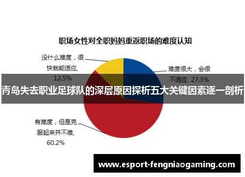 青岛失去职业足球队的深层原因探析五大关键因素逐一剖析