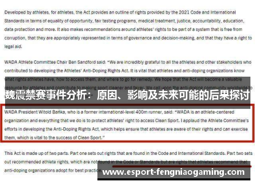 魏震禁赛事件分析：原因、影响及未来可能的后果探讨