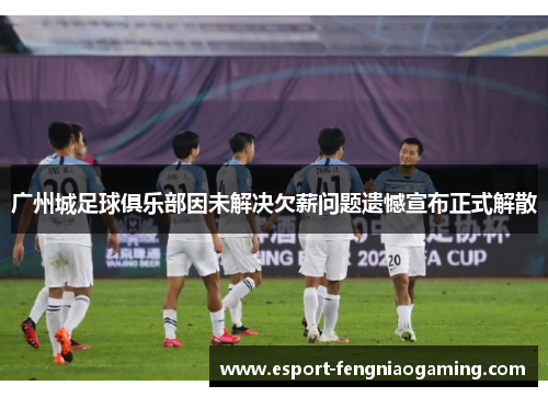 广州城足球俱乐部因未解决欠薪问题遗憾宣布正式解散
