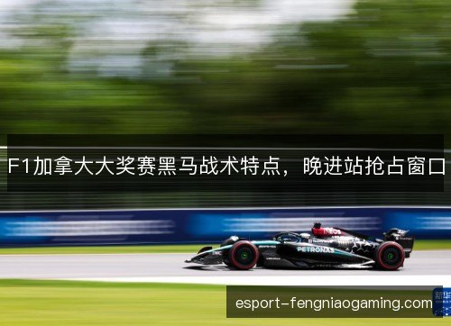 F1加拿大大奖赛黑马战术特点，晚进站抢占窗口