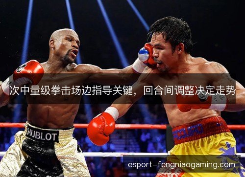 次中量级拳击场边指导关键，回合间调整决定走势