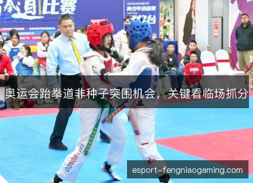 奥运会跆拳道非种子突围机会,关键看临场抓分 奥运会跆拳道非种子突围机会,关键看临场抓分